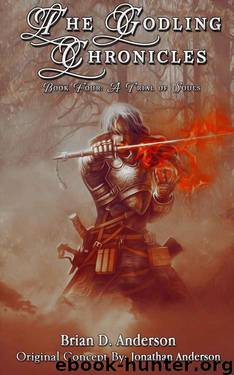 A Trial of Souls by Brian D. Anderson