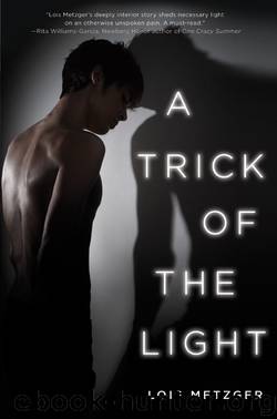 A Trick of the Light by Lois Metzger
