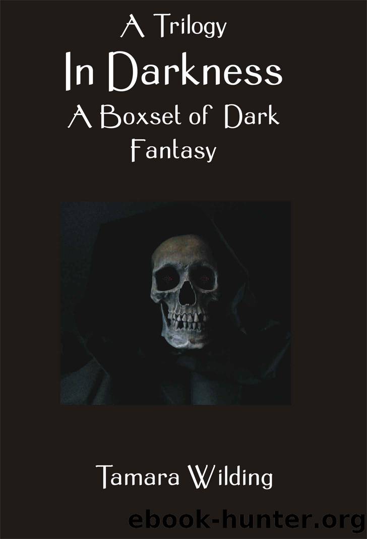 A Trilogy In Darkness A Boxset of Dark Fantasy by Wilding Tamara