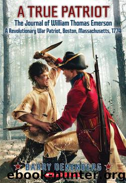 A True Patriot by Barry Denenberg