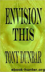 A Tubby Dubonnet Mystery 00 Envision This by Tony Dunbar