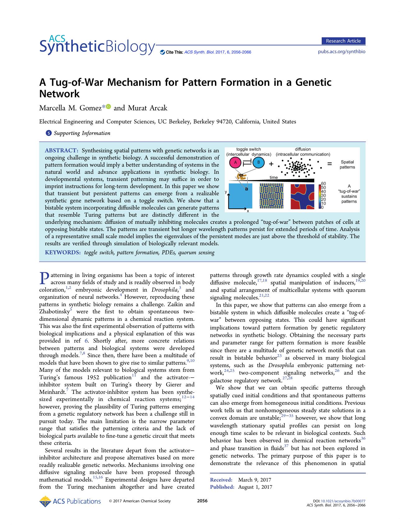 A Tug-of-War Mechanism for Pattern Formation in a Genetic Network by Marcella M. Gomez and Murat Arcak