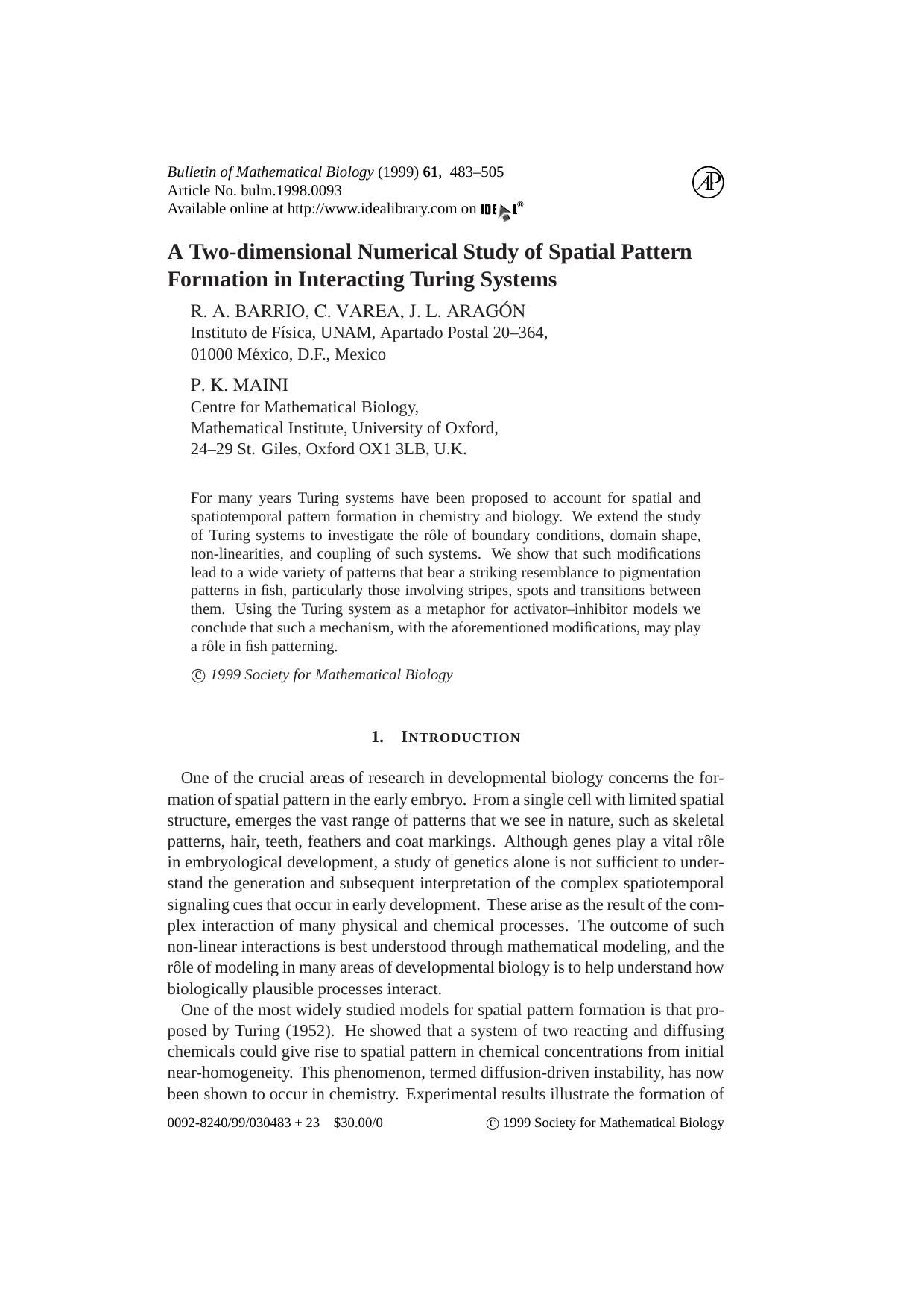 A Two-dimensional Numerical Study of Spatial Pattern Formation in Interacting Turing Systems by Barrio R.A. et al