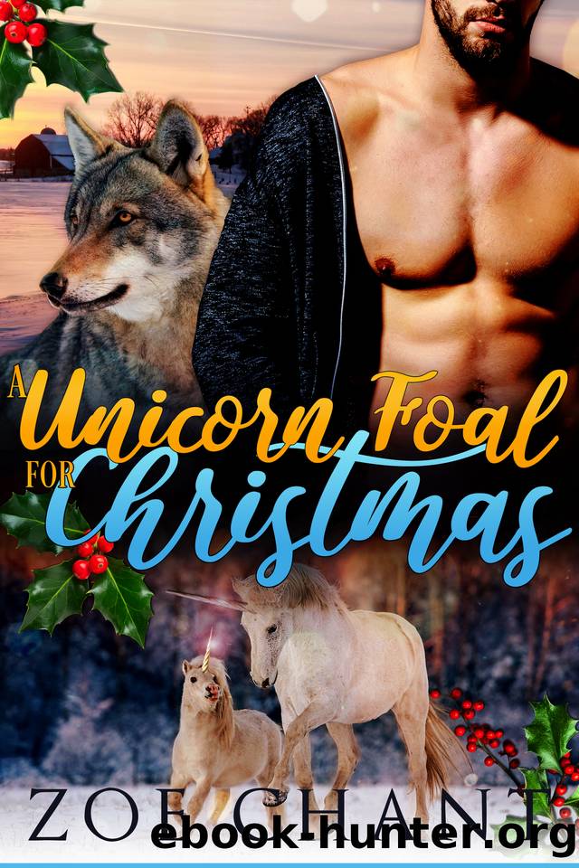 A Unicorn Foal for Christmas by Zoe Chant
