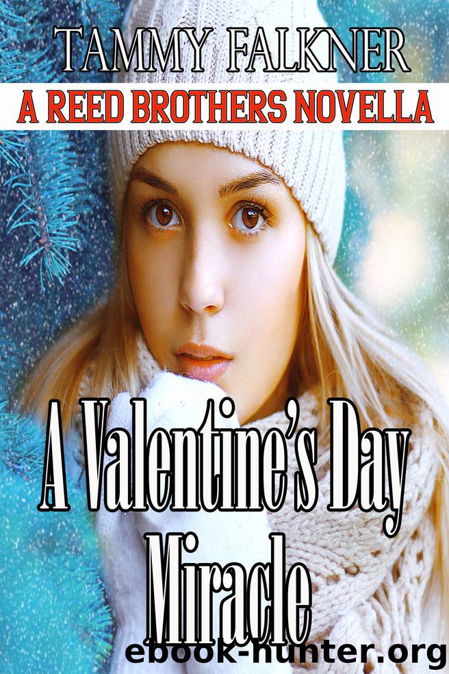 A Valentine's Day Miracle by Tammy Falkner