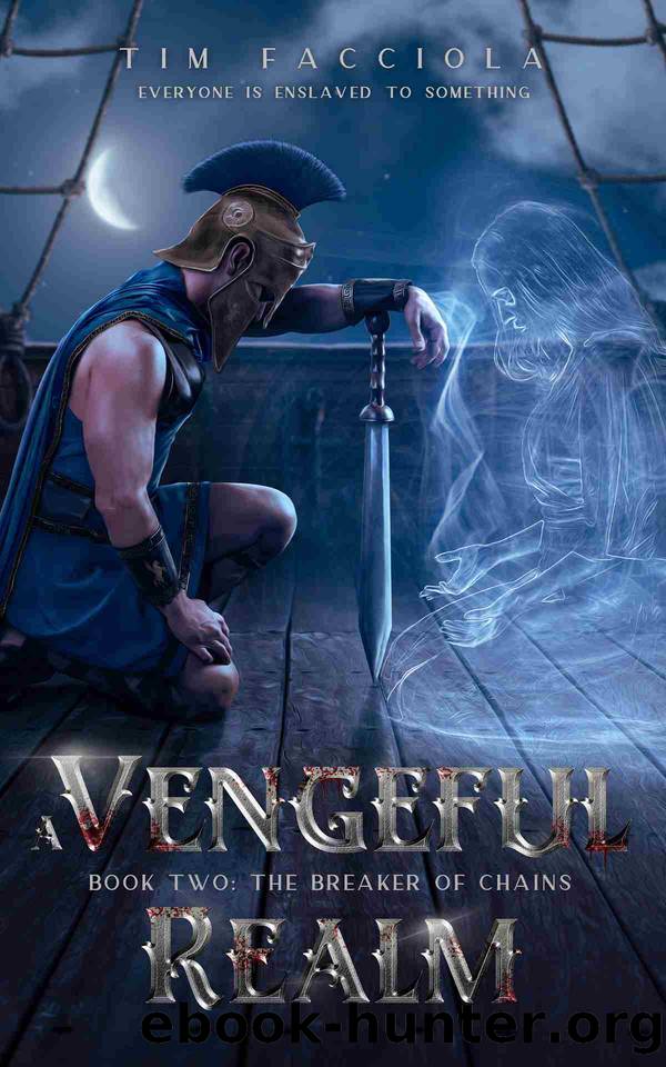 A Vengeful Realm: The Breaker of Chains - Book 2 by Tim Facciola