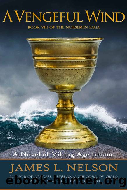 A Vengeful Wind_A Novel of Viking Age Ireland by James L. Nelson