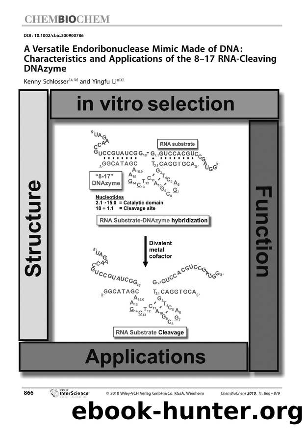 A Versatile Endoribonuclease Mimic Made of DNA: Characteristics and Applications of the 8?17 RNA?Cleaving DNAzyme by Unknown