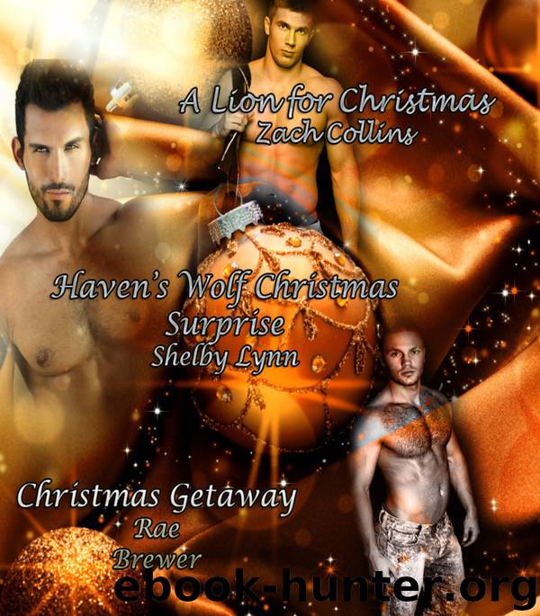 A Very Male Shifter Christmas by Zach Collins Shelby Lynn Rae Brewer