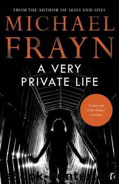 A Very Private Life by Michael Frayn