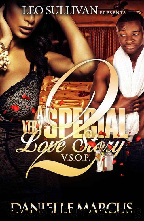 A Very Special Love Story 2: V.S.O.P by Danielle Marcus