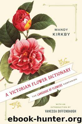 A Victorian Flower Dictionary by Mandy Kirkby