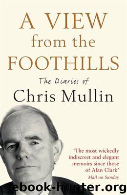 A View From The Foothills by Mullin Chris