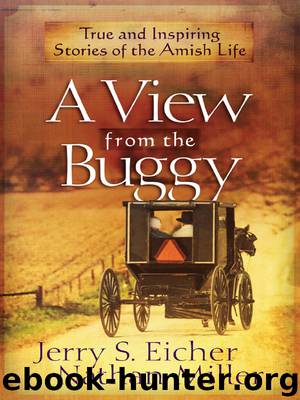 A View from the Buggy by Jerry S. Eicher