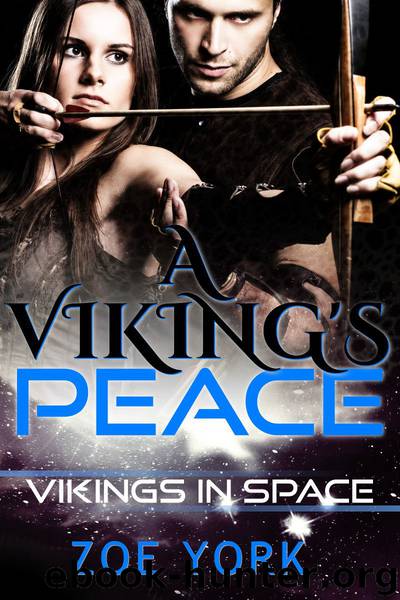 A Viking's Peace by Zoe York