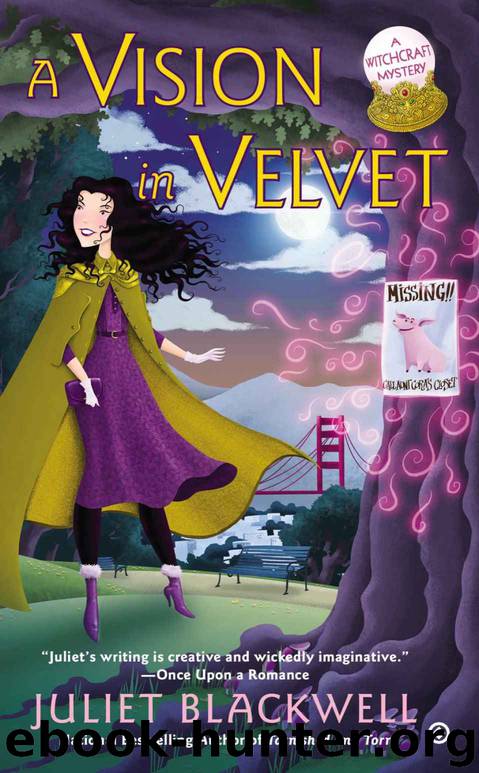 A Vision in Velvet: A Witchcraft Mystery by Juliet Blackwell