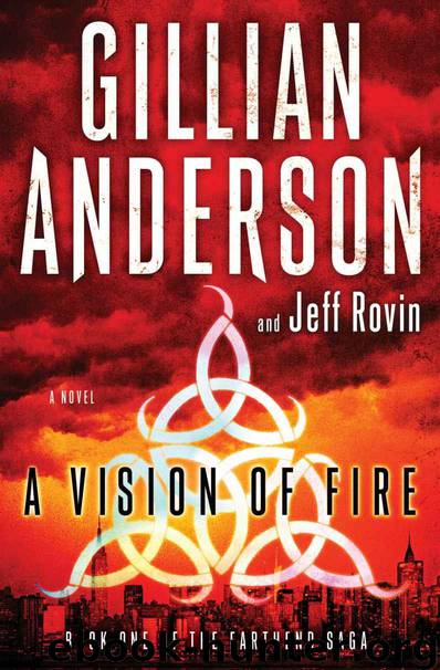 A Vision of Fire: A Novel by Anderson Gillian & Rovin Jeff