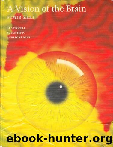 A Vision of the Brain by Semir Zeki
