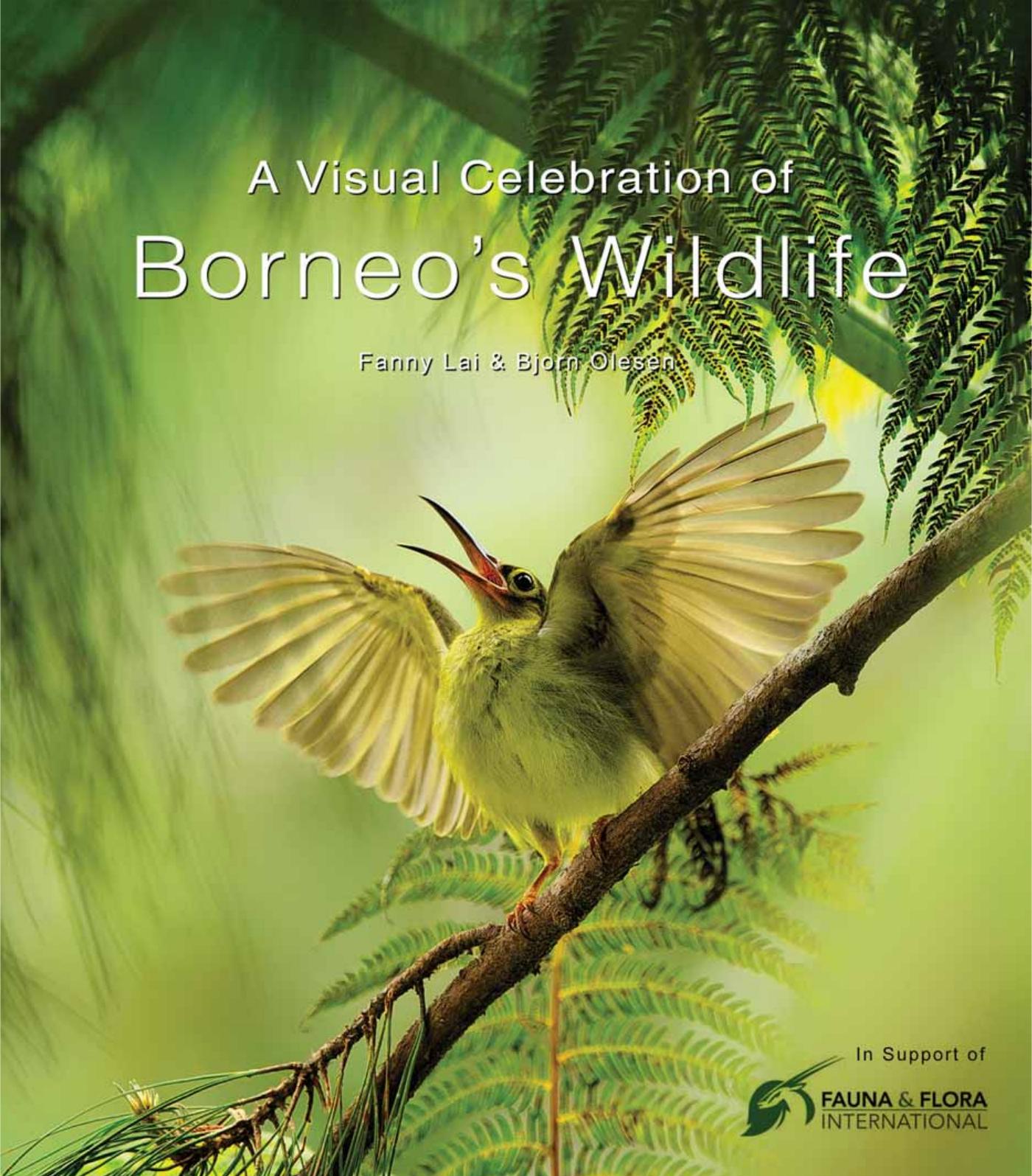 A Visual Celebration of Borneo's Wildlife: [All Royalties Donated to Fauna & Flora International] by Fanny Lai & Bjorn Olesen