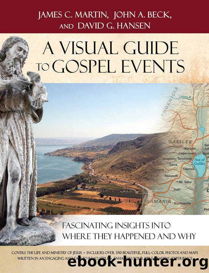 A Visual Guide to Gospel Events by James C. Martin