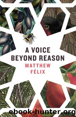 A Voice Beyond Reason by Matthew Felix