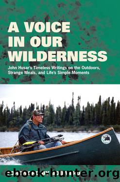 A Voice in Our Wilderness by John Husar