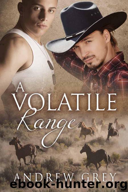 A Volatile Range (Stories from the Range) by Grey Andrew