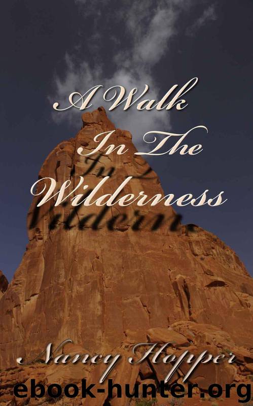 A Walk In The Wilderness by Hopper Nancy