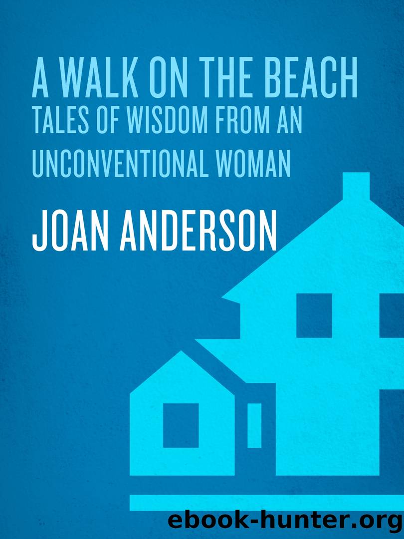 A Walk on the Beach by Joan Anderson