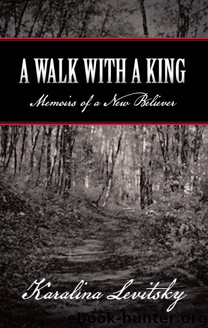 A Walk with a King by karalina levitsky