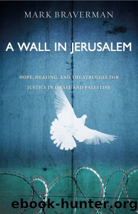 A Wall in Jerusalem by Mark Braverman