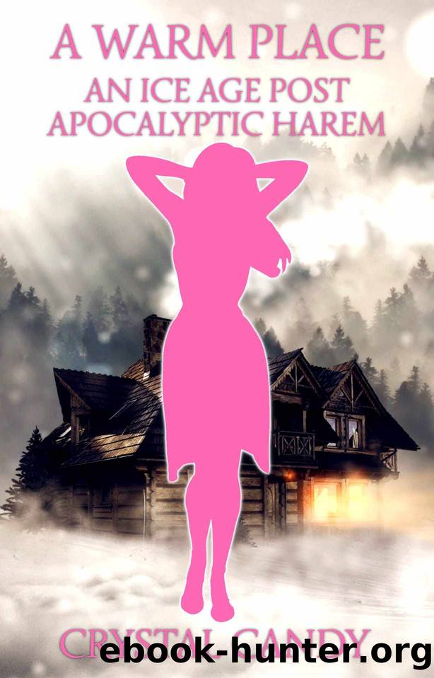 A Warm Place - An Ice Age Post-Apocalyptic Harem by Crystal Candy
