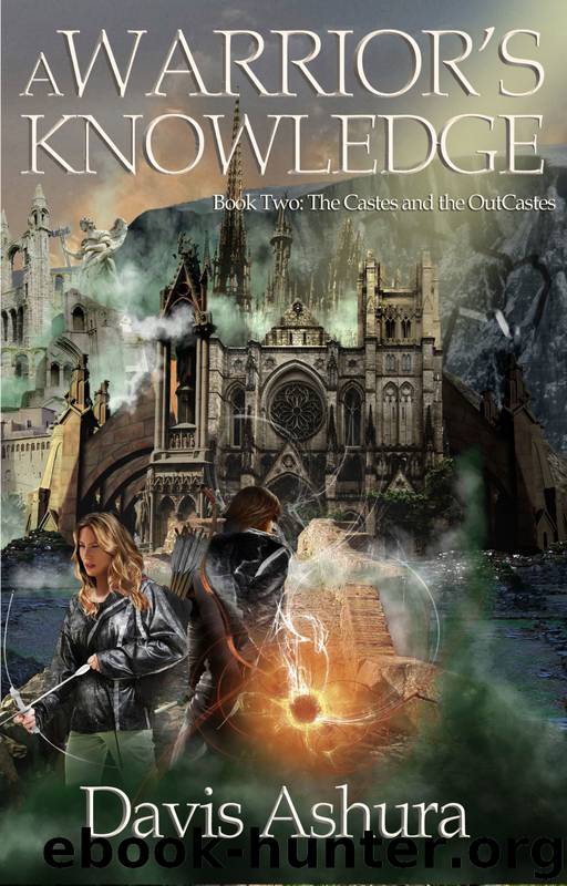 A Warrior's Knowledge by Davis Ashura