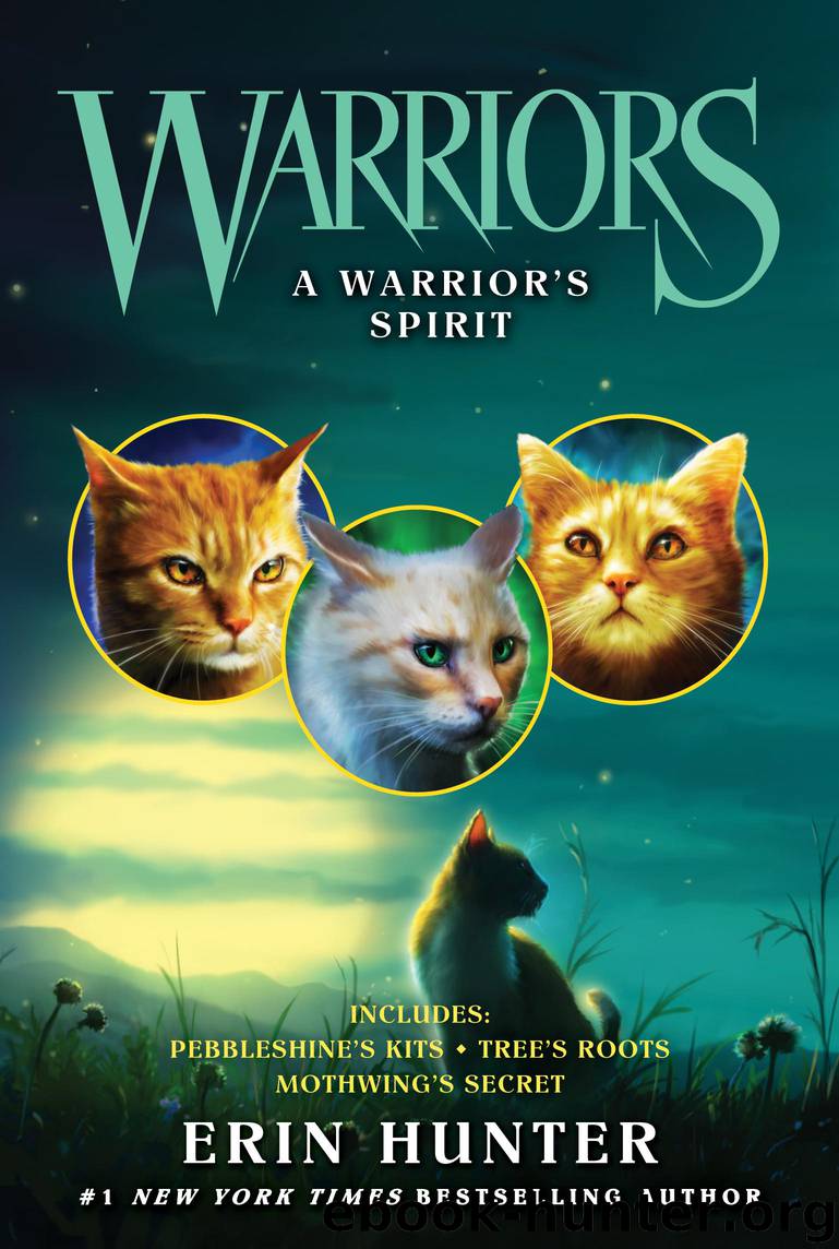 A Warrior's Spirit by Erin Hunter - free ebooks download