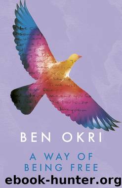 A Way of Being Free by Ben Okri