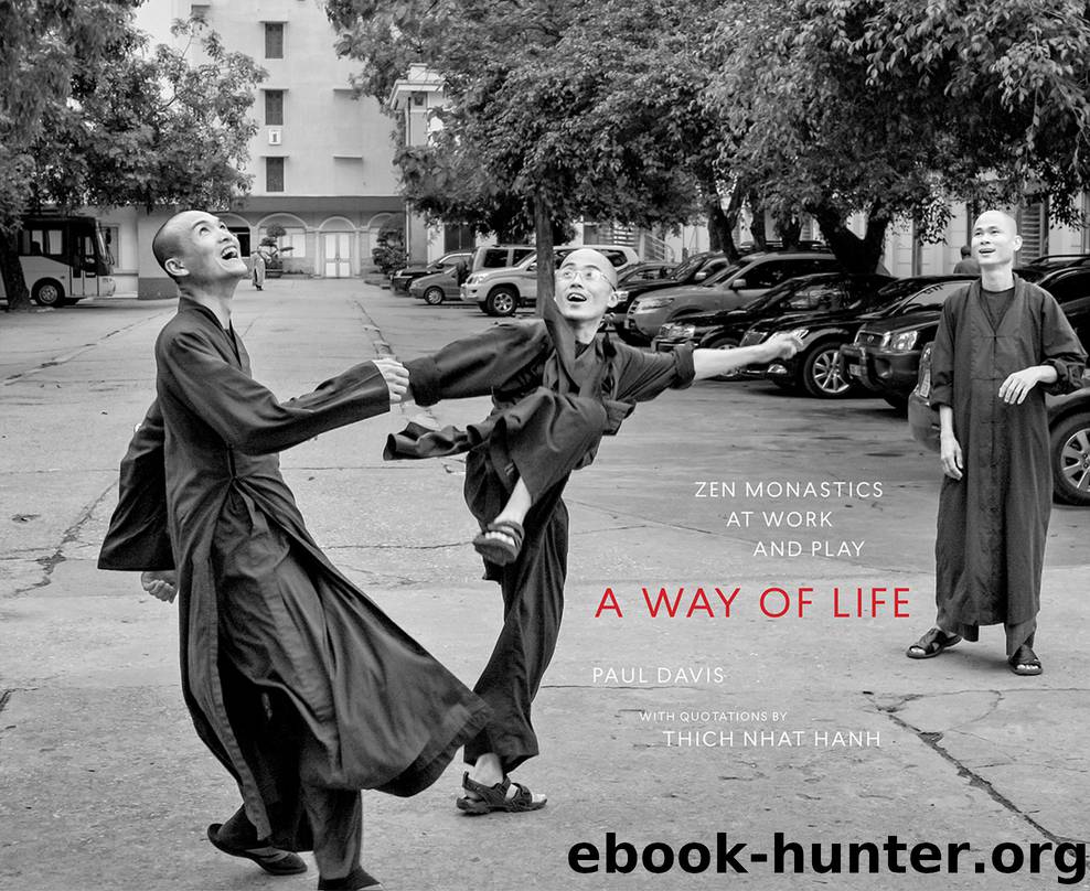 A Way of Life by Paul Davis