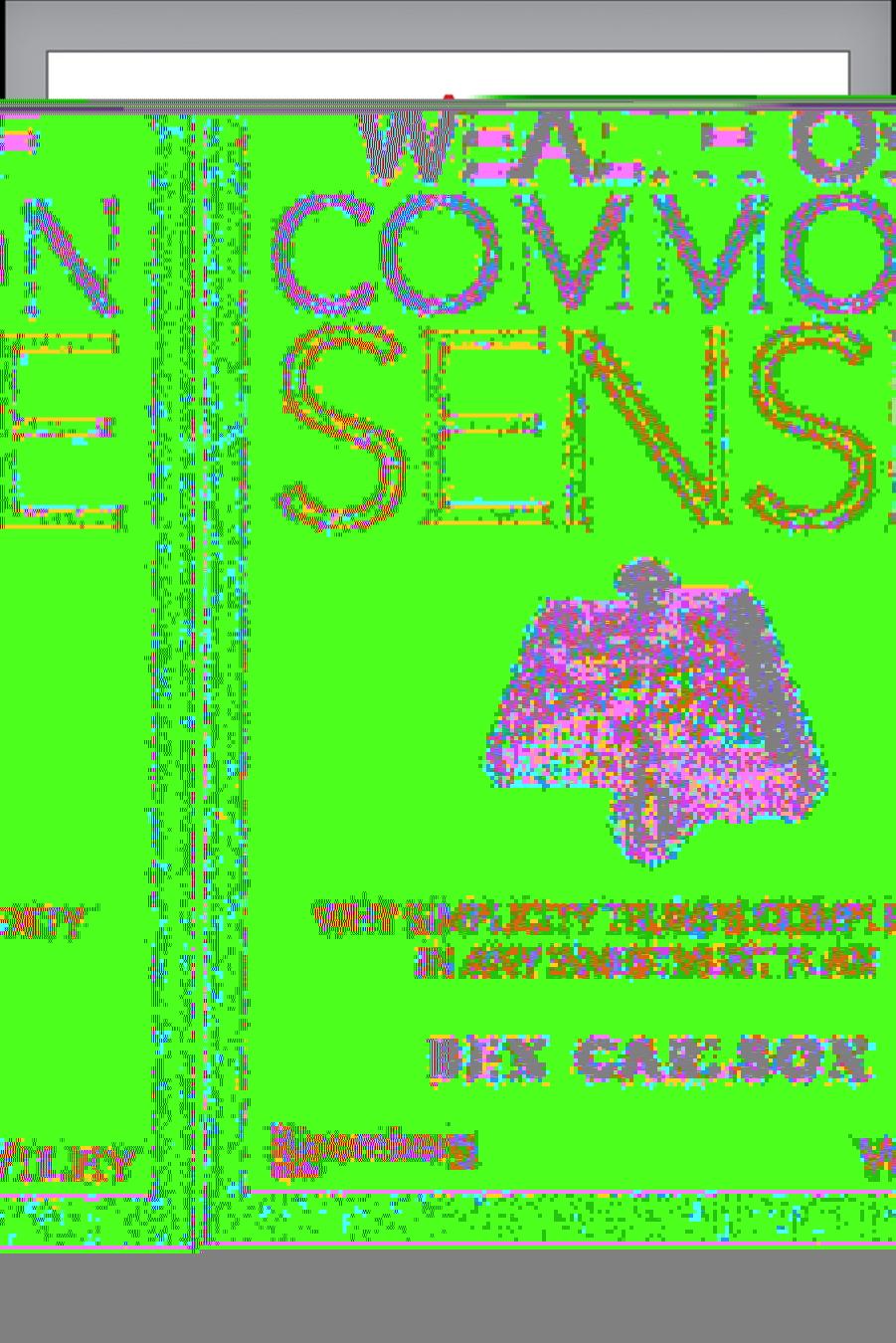 A Wealth of Common Sense - Why Simplicity Trumps Complexity in Any Investment Plan by Ben Carlson