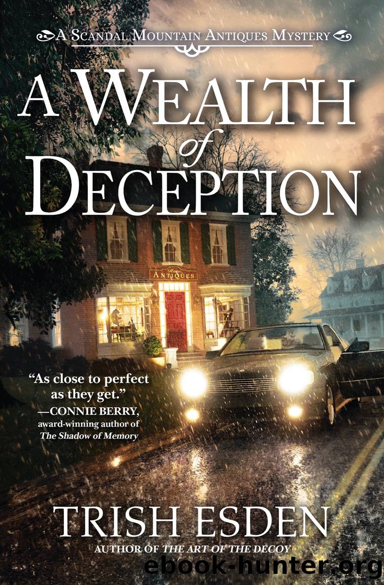 A Wealth of Deception by Trish Esden