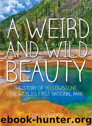 A Weird and Wild Beauty by Erin Peabody