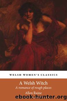 A Welsh Witch by Allen Raine