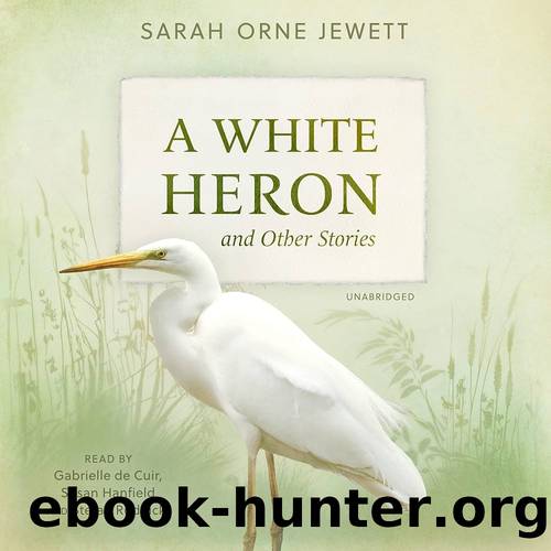 A White Heron and Other Stories by Jewett Sarah Orne