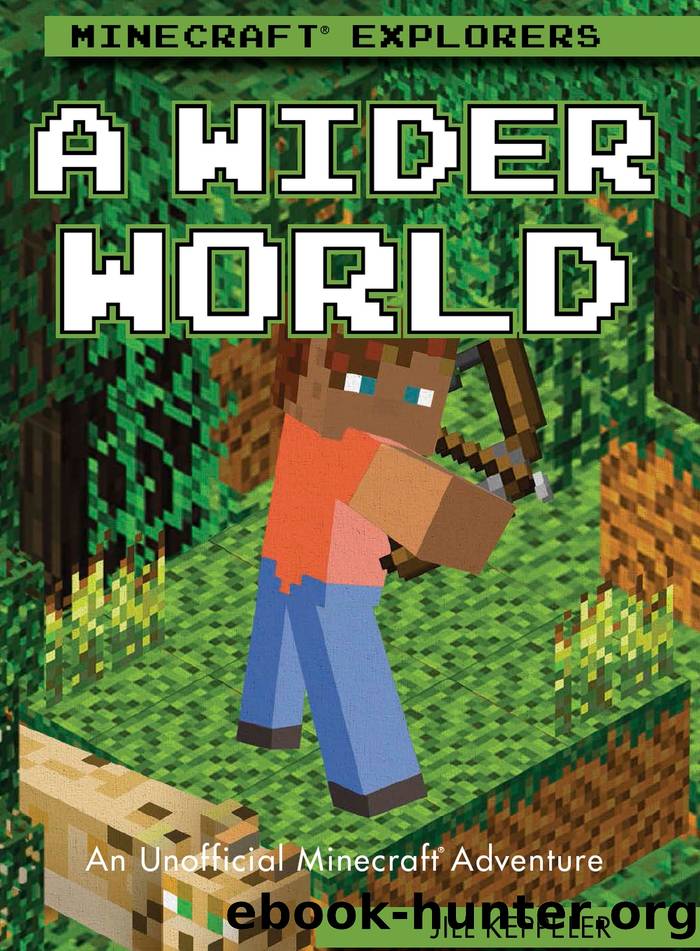 A Wider World by Jill Keppeler