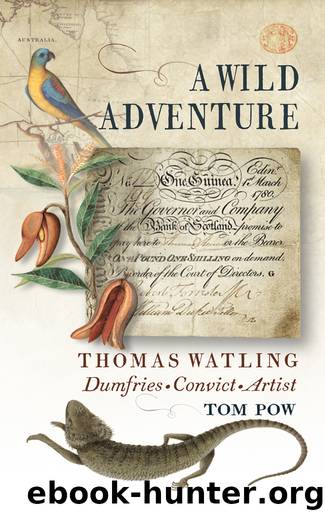 A Wild Adventure by Tom Pow