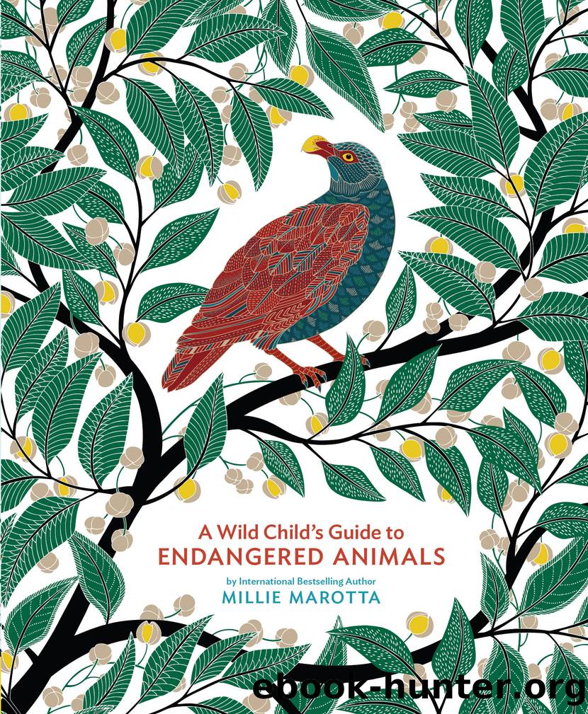 A Wild Child's Guide to Endangered Animals by Millie Marotta