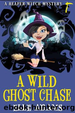 A Wild Ghost Chase (A Reaper Witch Mystery Book 1) by Elle Adams