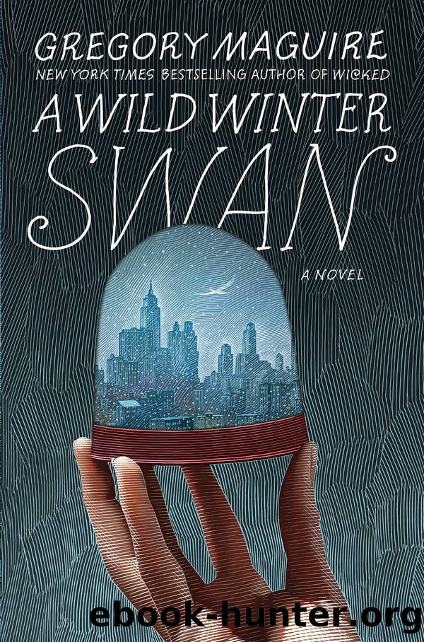 A Wild Winter Swan by Gregory Maguire