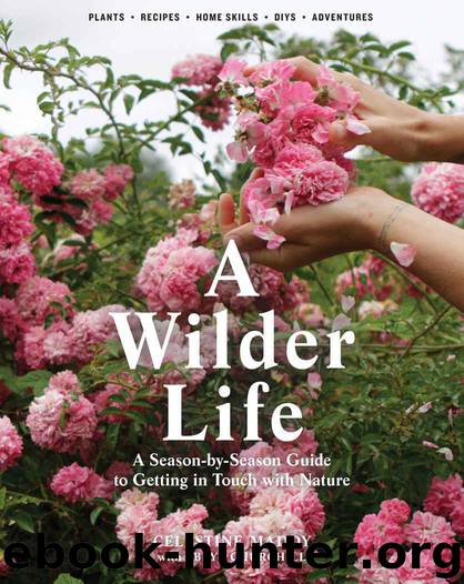 A Wilder Life: A Season-by-Season Guide to Getting in Touch with Nature by Maddy Celestine