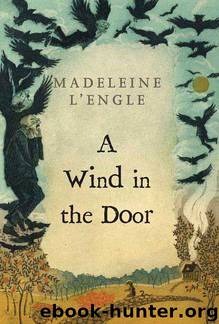 A Wind in the Door by Madeleine L'Engle