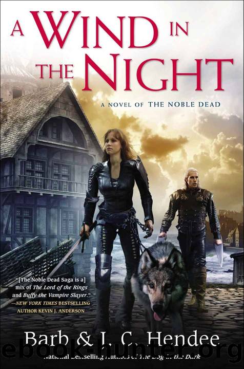 A Wind in the Night by Hendee Barb & Hendee J.C