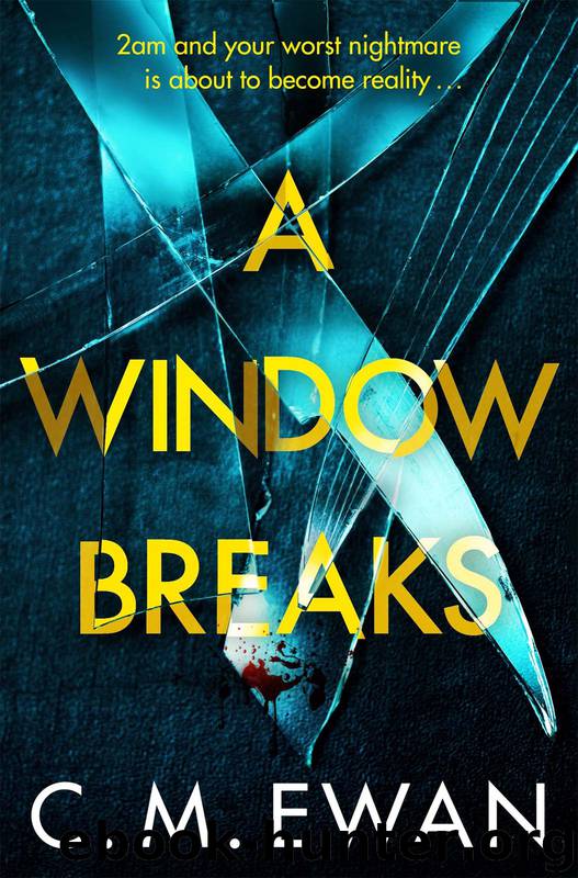A Window Breaks by C. M. Ewan
